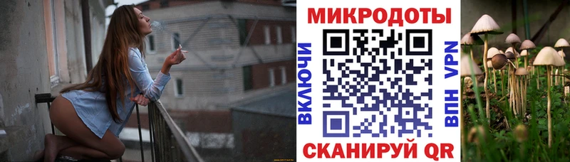 Псилоцибиновые грибы Psilocybine cubensis  дарк нет формула  Вологда  купить  