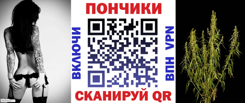 Шишки марихуана Amnesia  цены   Вологда 